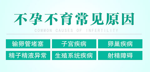合肥中山医院不孕不育